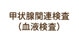 甲状腺関連検査（血液検査）